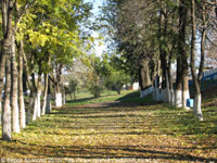 Осенняя прогулка по Зеленокумску. 2010