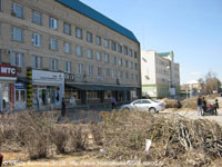 гостиница Зеленокумск. Вырубка деревьев.