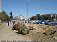 гостиница Зеленокумск. Вырубка деревьев.