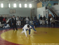 Дзюдо в Зеленокумске 2011 турнир в Георгиевске