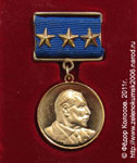 Зеленокумск. Медаль А.Покрышкина (аверс).